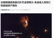 开云体育登录入口-云南队负于对手，赛后反思不足