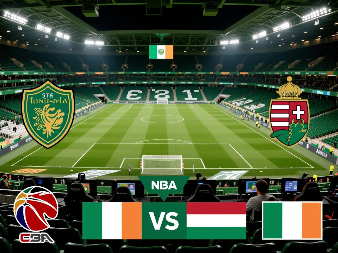 爱尔兰国家队主场击败匈牙利国家队，三连胜  第3张