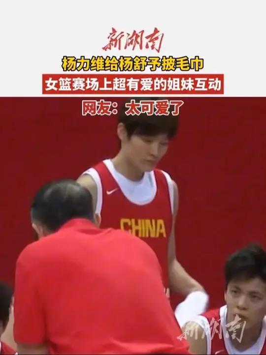 开云体育登录入口-姐妹连线！杨力维杨舒予合砍25分老将发力助队大胜(杨舒予杨力维女篮简介)