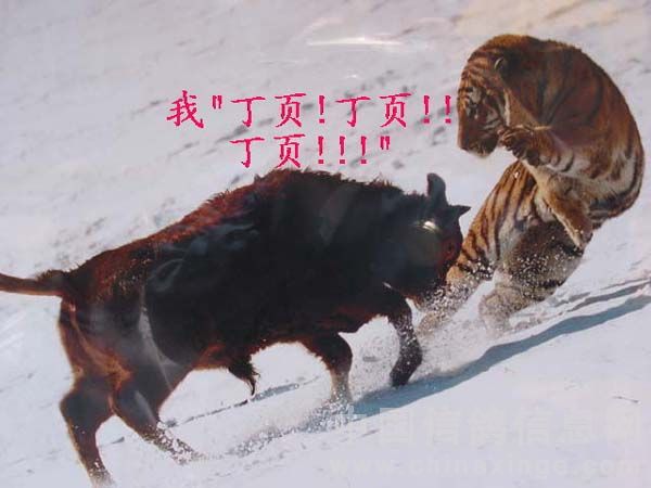 开云体育网页版-包含给不了“承诺”的巴萨，怪不了尼科“放鸽子”的词条